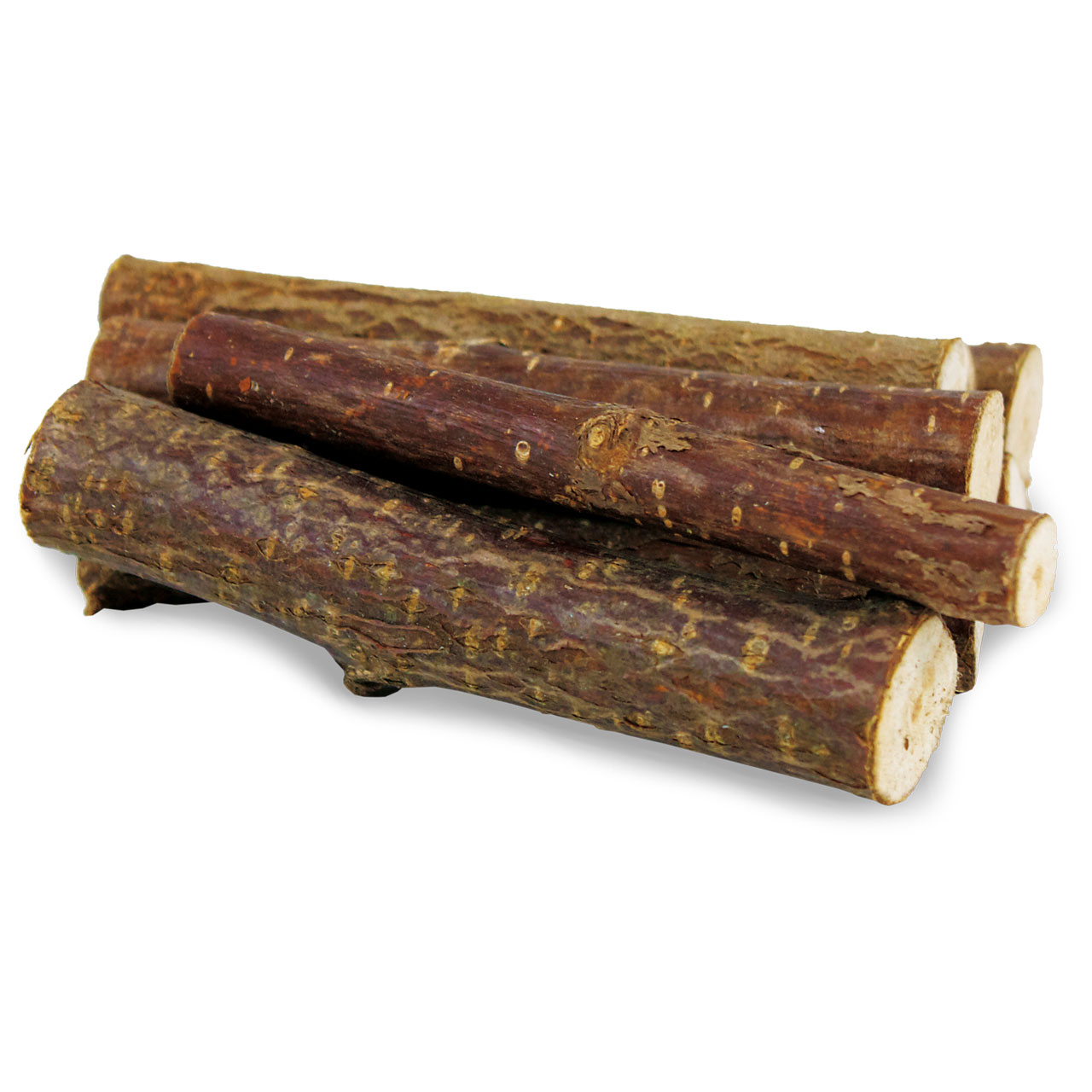 JR עץ לעיסה אגוז לוז 40 גרם (2093) – תמונה 2