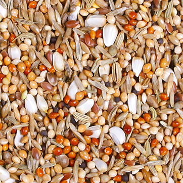 JR מזון לתוכונים בינוניים 1 ק"ג (8398) – תמונה 2