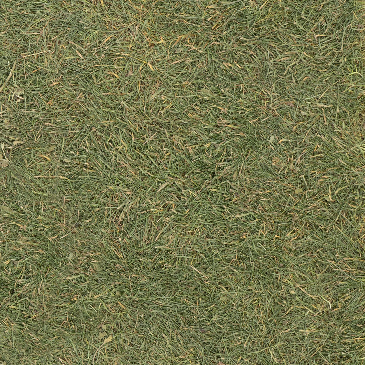 JR חתול – פיסת טבע עם דשא מרגיע 100 גרם (19236) – תמונה 3