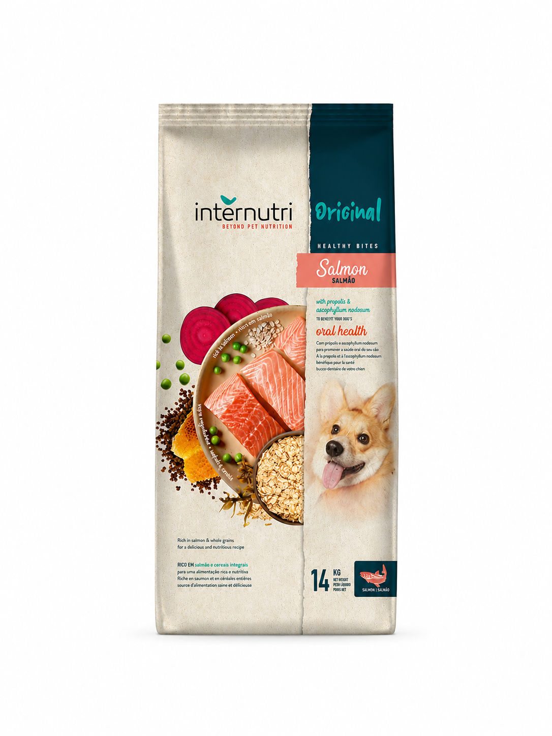 INTERNUTRI ORIGINAL DOG SALMON אינטר נוטרי סלמון לכלב 14 ק"ג